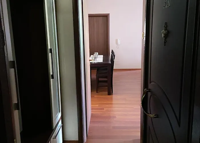 公寓 Mollys2apartment 波格拉德茨